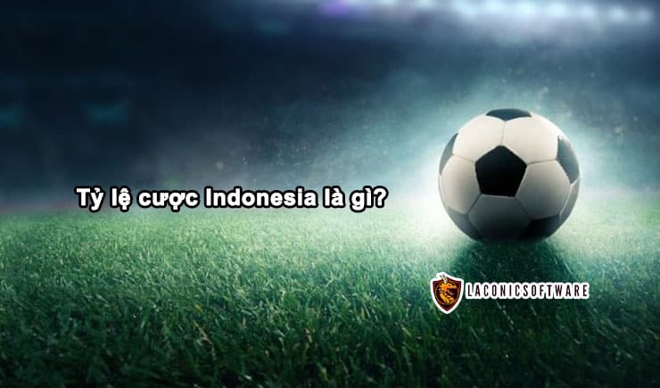 Giải Mã Tỷ Lệ Cược Kèo Indonesia - Bí Quyết Chiến Thắng